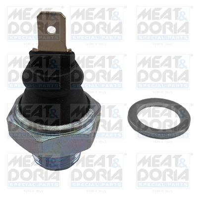 Oil Pressure Switch